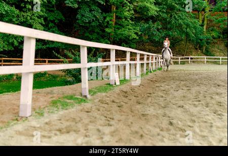 Jockey auf einem dapfelgrauen Pferd im hippodrom. Reiterin, die Reitunterricht in der Pferdeschule nimmt. Pferdetraining, Pferdedressur, Trab-Gai Stockfoto