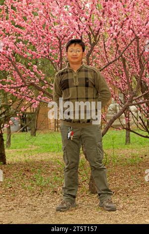 STADT TANGSHAN - 18. APRIL: Ein Mann vor blühender Pflaume in einem Garten, 18. April 2015, Stadt Tangshan, Provinz Hebei, China Stockfoto