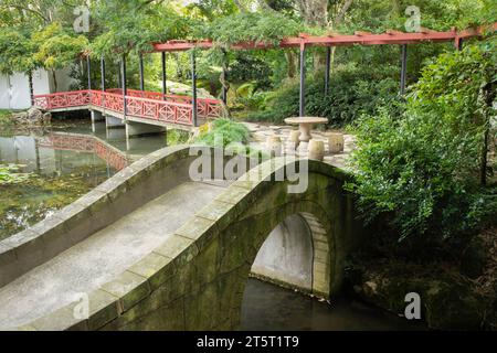 Chinesischer Gelehrtengarten in Hamilton Gardens, Neuseeland Stockfoto