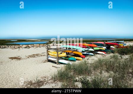 Kajaktour am Paine's Creek Beach. Stockfoto