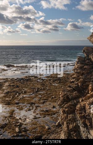 Felsklippen am Lobster Cove Point an der Westküste Neufundlands Stockfoto