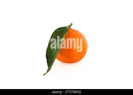 Clementine, Mandarine oder Mandarine orange Frucht mit grünen Blättern isoliert auf weißem Hintergrund Stockfoto
