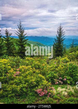 Malerischer Blick auf die Smokie Mountains vom Blue Ridge Parkway in der Nähe von Maggie Valley, North Carolina Stockfoto