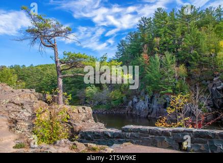 Wunderschöne Landschaft einer weißen Kiefer entlang der St. Der Croix River im Interstate State Park entstand während der Eiszeit in Taylors Falls, Minnesota, USA. Stockfoto