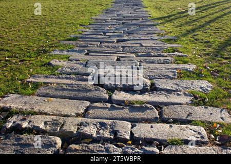 Ein Steinweg in einem Park. Der Weg ist von grünem Gras umgeben. Gefallene Blätter liegen auf dem Rasen. Herbst. Stockfoto