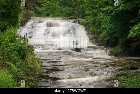 Der Cascadilla Gorge Trail in Ithaka, NY Stockfoto