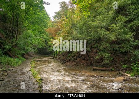 Der Cascadilla Gorge Trail in Ithaka, NY Stockfoto
