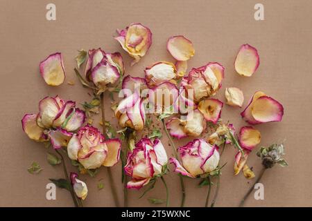 Strauß trockener, verdorbener Rosen Stockfoto