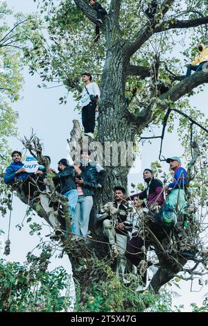 Kathmandu, Nepal - 5. November 2023: Nepalesische verrückte Cricket-Fans beobachten das Cricket-Spiel der T20-WM zwischen Nepal und Oman in Trib Stockfoto