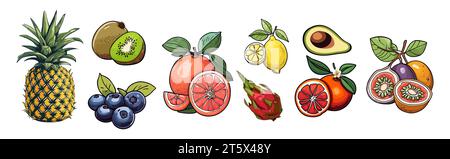 Satz von verschiedenen Früchten Vektor isoliert auf weiß. Stock Vektor