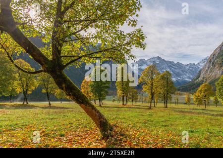 Ein touristisches Highlight, farbenfrohe Herbstsaison im Engtal oder Engtal, Naturpark Karwendel, Tirol, Österreich, Europa Stockfoto