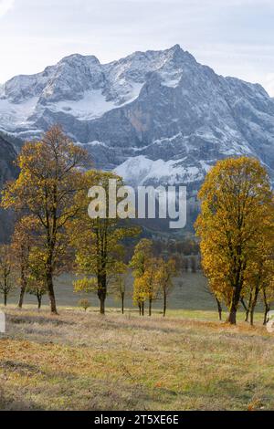 Ein touristisches Highlight, farbenfrohe Herbstsaison im Engtal oder Engtal, Naturpark Karwendel, Tirol, Österreich, Europa Stockfoto