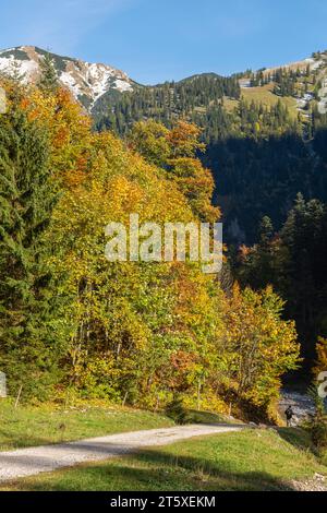 Ein touristisches Highlight, farbenfrohe Herbstsaison im Engtal oder Engtal, Naturpark Karwendel, Tirol, Österreich, Europa Stockfoto