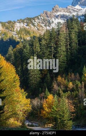 Ein touristisches Highlight, farbenfrohe Herbstsaison im Engtal oder Engtal, Naturpark Karwendel, Tirol, Österreich, Europa Stockfoto