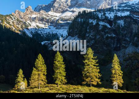 Ein touristisches Highlight, farbenfrohe Herbstsaison im Engtal oder Engtal, Naturpark Karwendel, Tirol, Österreich, Europa Stockfoto
