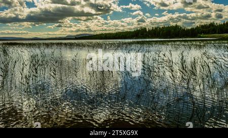 Tårrajaur, Rastplatz entlang der E45, Panorama des Tårrajaure-Sees umgeben von Nadelwäldern mit bewölktem Himmel. Gemeinde Jokkmokk, Kreis Artict Stockfoto