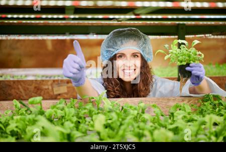 Glückliche Frau, die Pflanzensämling im Gewächshaus hält. Fröhliche Gärtnerin zeigt Daumen hoch und lächelt, während sie einen Topf mit grüner Blattpflanze hält. Stockfoto