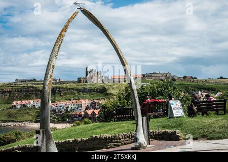 Durch die Whale Bones Raymond Boswell Stockfoto