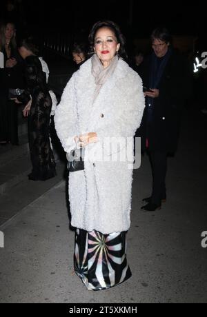 New York, New York, USA. November 2023. Pat Cleveland kommt am 6. November 2023 bei den CFDA Awards 2023 im American Museum of Natural History in New York City an. Quelle: Rw/Media Punch/Alamy Live News Stockfoto