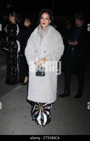 NEW YORK, NEW YORK – 6. NOVEMBER 2023: Pat Cleveland kommt am 6. November 2023 bei den CFDA Awards im American Museum of Natural History in New York City an. Copyright: XRWx Credit: Imago/Alamy Live News Stockfoto