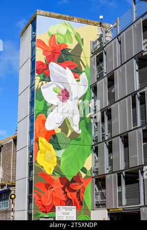 Wandgemälde mit Blumen von Thiago Mazza auf einem mehrstöckigen Parkplatz, Frederik Street, Aberdeen, Schottland, Großbritannien Stockfoto