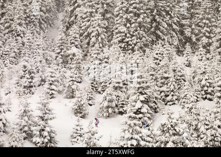 TANDREVOLD Ingrid Landmark NOR Biathlon Weltcup 10 KM Verfolgung der Frauen in Hochfilzen, Oesterreich am 09.12.2017 Stockfoto