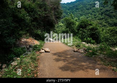 Straße zu den Aanaivaari Muttal Wasserfällen in Kalvarayan Hills in der Nähe von Attur, Salem Bezirk, Indien. Stockfoto