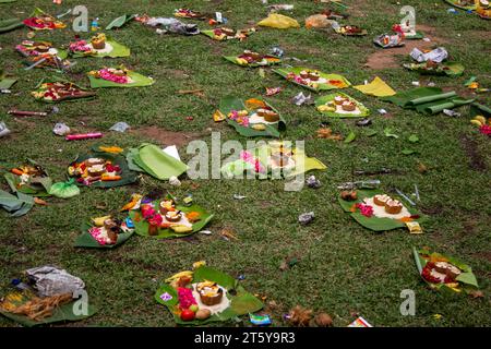 Thanjavur, Tamil Nadu, Indien - 19. Oktober 2023: Panchami Abhishekam für Göttin Varaahi im Thanjavur Großen Tempel (auch Thanjai Periya Kovil genannt) Stockfoto