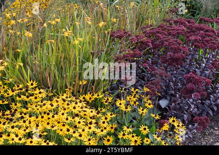 Mischanpflanzung bei RHS Harlow Carr Stockfoto