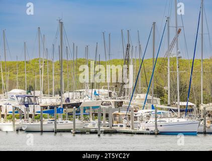 Ein voller Yachthafen am 5-Mile-Hafen Stockfoto