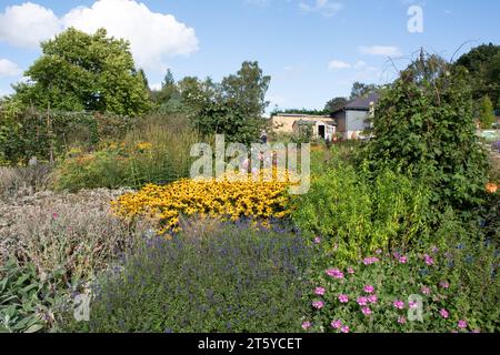 Gemischte Grenzpflanzung bei RHS Harlow Carr Stockfoto