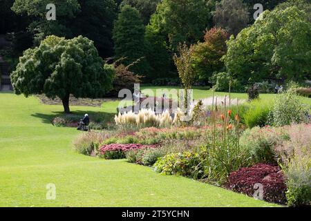 Island Bed RHS Harlow Carr Stockfoto