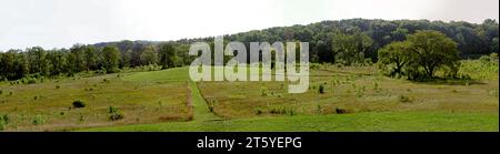 Mound Pyramiden, amerikanische Ureinwohner. Weites Panoramabild. Aztalan State Park, historische Stätte in der Nähe von Lake Mills, Wisconsin. National Register of Historic Plac Stockfoto