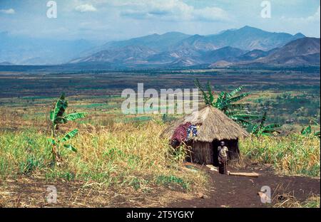 Ruanda, einsame Hütte in einer Landschaft mit einigen landwirtschaftlichen Feldern Stockfoto