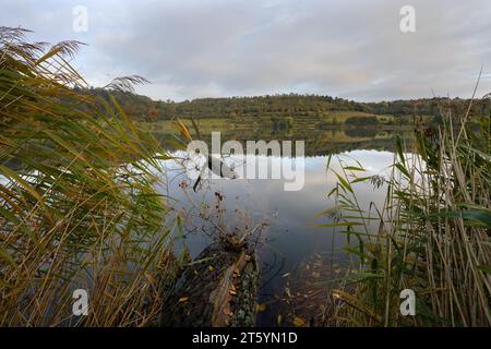 Panoramaaufnahme der Landschaft im Vulkan Eifel, Rheinland-Pfalz, Deutschland Stockfoto