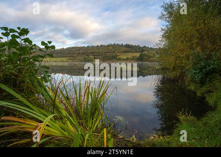 Panoramaaufnahme der Landschaft im Vulkan Eifel, Rheinland-Pfalz, Deutschland Stockfoto