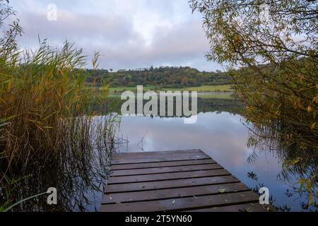 Panoramaaufnahme der Landschaft im Vulkan Eifel, Rheinland-Pfalz, Deutschland Stockfoto