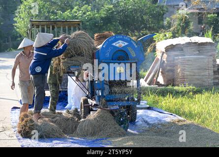 VIETNAM, Provinz Yen Bai, Cam Nhan, Landwirt dreschen Reis nach der Ernte mit kleiner mobiler Dreschmaschine / Gemeinde Cam Nhan, Dreschmaschine für Reis, Kleinbauern dreschen Reis nach der Ernte Stockfoto