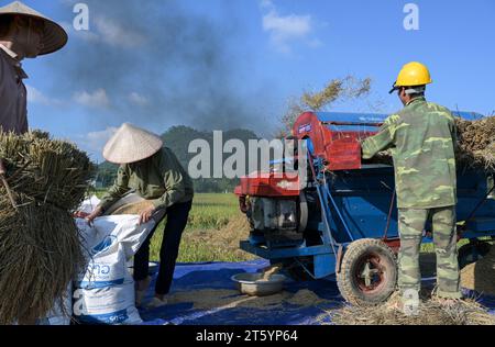 VIETNAM, Provinz Yen Bai, Cam Nhan, Landwirt dreschen Reis nach der Ernte mit kleiner mobiler Dreschmaschine / Gemeinde Cam Nhan, Dreschmaschine für Reis, Kleinbauern dreschen Reis nach der Ernte Stockfoto