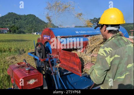 VIETNAM, Provinz Yen Bai, Cam Nhan, Landwirt dreschen Reis nach der Ernte mit kleiner mobiler Dreschmaschine / Gemeinde Cam Nhan, Dreschmaschine für Reis, Kleinbauern dreschen Reis nach der Ernte Stockfoto