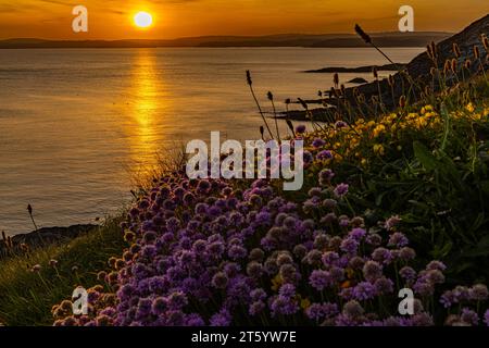 Sonnenuntergang in Galley Head, County Cork, Irland Stockfoto