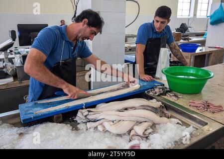 Schwarzer Degenfisch (Aphanopus carbo) wird filetiert, Fischhalle, Fischmarkt, Markthalle Mercado dos Lavradores, Funchal, Insel Madeira, Portugal Stockfoto