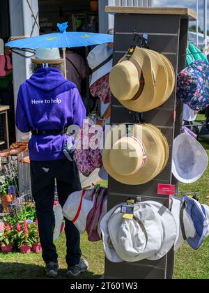 1 Freiwilligenstand für eine Person vor dem RHS Shop (Informationszentrum & Displays, sonniger Ausstellungsplatz) - 2023 Flower Show Tatton Park, Cheshire, England, Großbritannien. Stockfoto