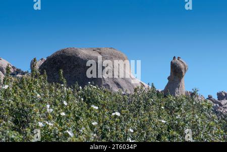 Die Schnecke, eine beliebte schneckenförmige Felsformation in La Pedriza, Nationalpark Guadarrama, Madrid, Spanien Stockfoto