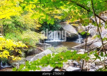 Kleiner Wasserfall im Pisgah National Forest, mit Herbstfarben auf Bäumen, im westlichen North Carolina Stockfoto