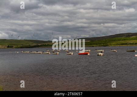 Ruderboote auf See oder Stausee, Windräder im Hintergrund. Llyn Brenig Visitor Centre, Cerrigydrudion, Conwy, Snowdonia oder Eryri National Park, N Stockfoto