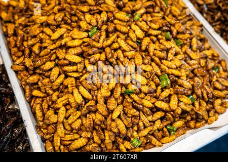 Frittierte Würmer, essbare Insekten und Käfer auf dem Markt in Thailand, Nahaufnahme mit selektivem Fokus Stockfoto