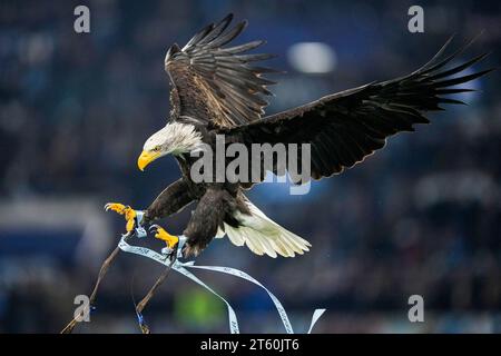Rom, Italien. November 2023. Rom - der Lazio-Adler während der vierten Etappe der UEFA Champions League zwischen S.S. Lazio und Feyenoord im Stadio Olympico am 7. November 2023 in Rom. Credit: Box to Box Pictures/Alamy Live News Stockfoto