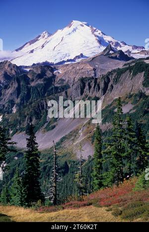 Mt Baker aus Artist Point Trail, Mt Baker Scenic Byway, Mt Baker-Snoqualmie National Forest, Washington Stockfoto