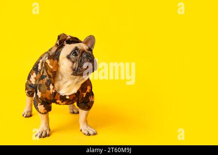 Süße französische Bulldogge im Regenmantel auf gelbem Hintergrund Stockfoto